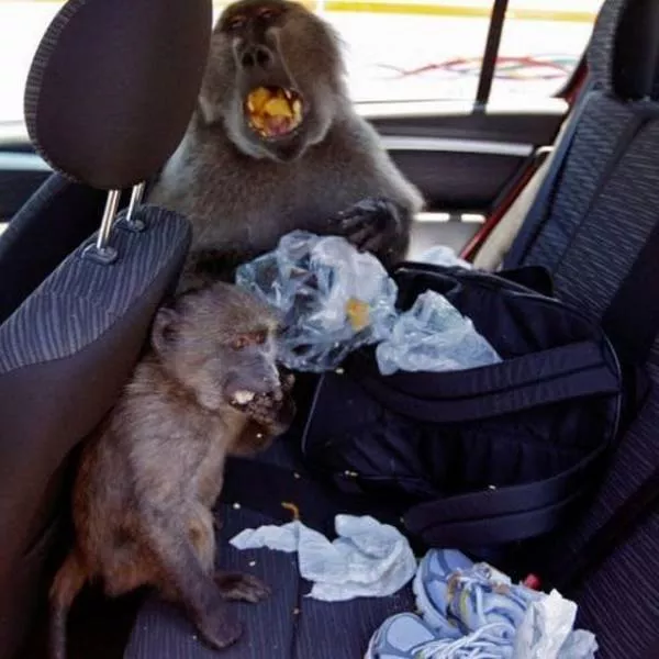 Picdump 385 - #41 