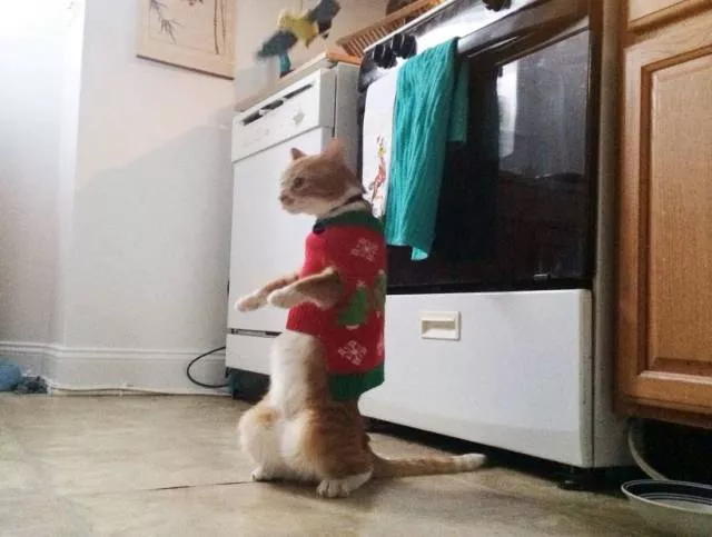 Picdump 385 - #65 