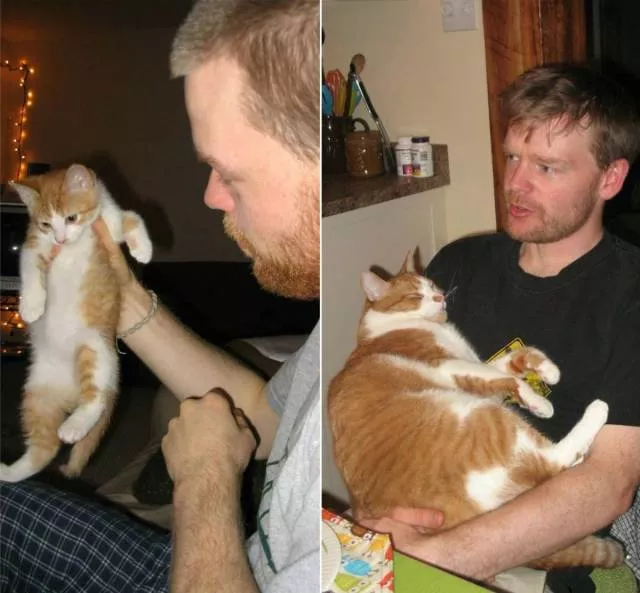 Before after visual transformation - #19 