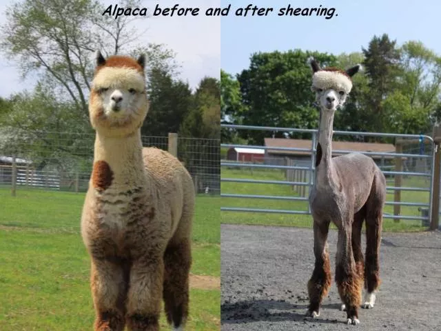 Before after visual transformation - #25 