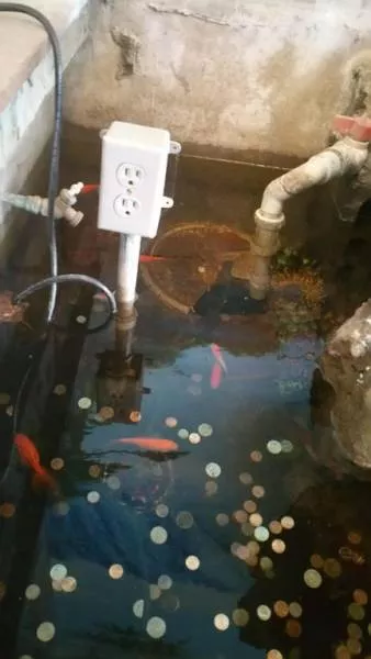 Hilarious safety fails - #23 