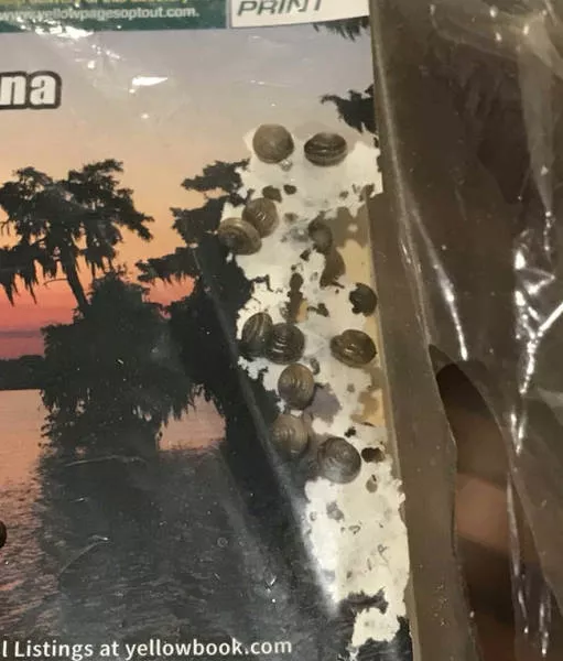 Weird stuff found nowhere - #11 