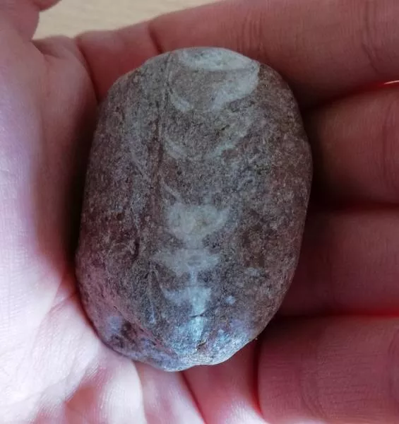 Weird stuff found nowhere - #15 