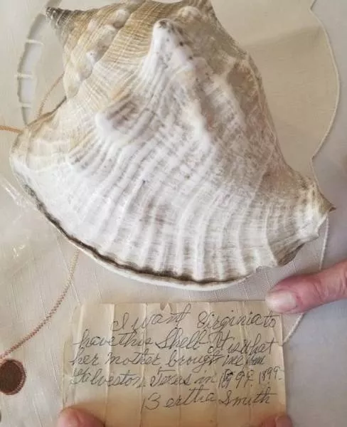 Weird stuff found nowhere - #4 