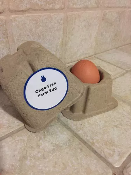 Picdump 387 - #7 