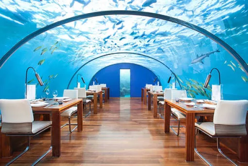 On visite ces restaurants non pas pour ces plats mais - #10 
