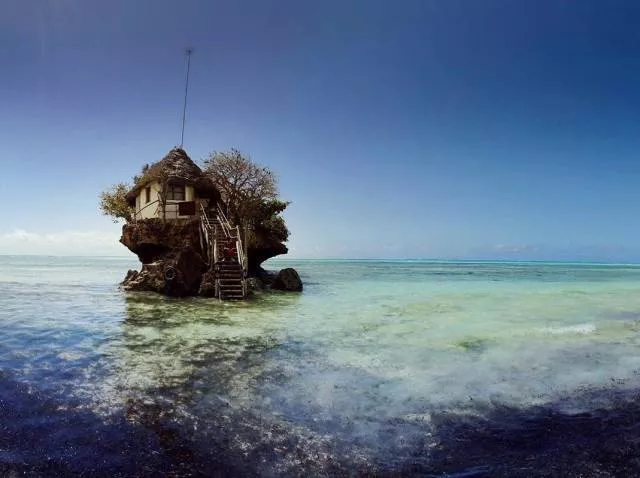 We visit these restaurants not for the food but  - #23 