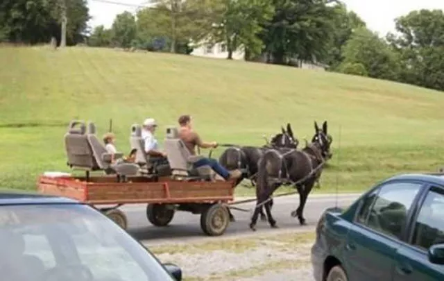 The funniest diyers in the world - #49 