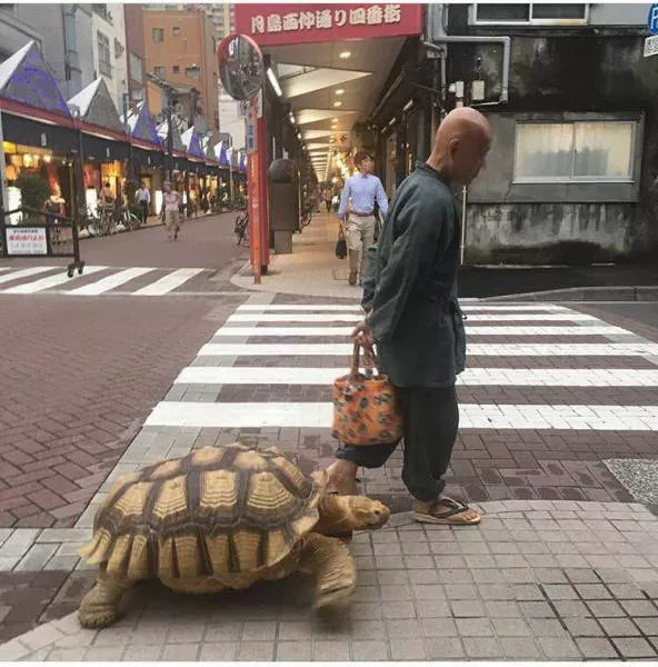During this time in asia - #67 
