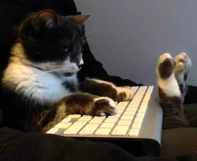 Picdump 388 - #11 