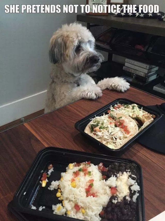 Picdump 388 - #14 