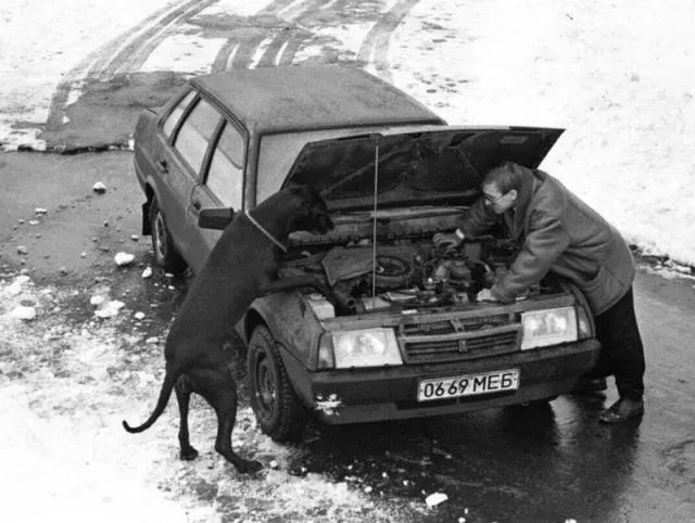 Picdump 388 - #15 
