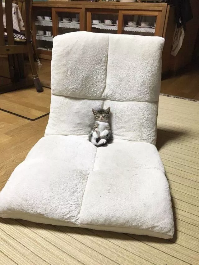 Picdump 388 - #39 