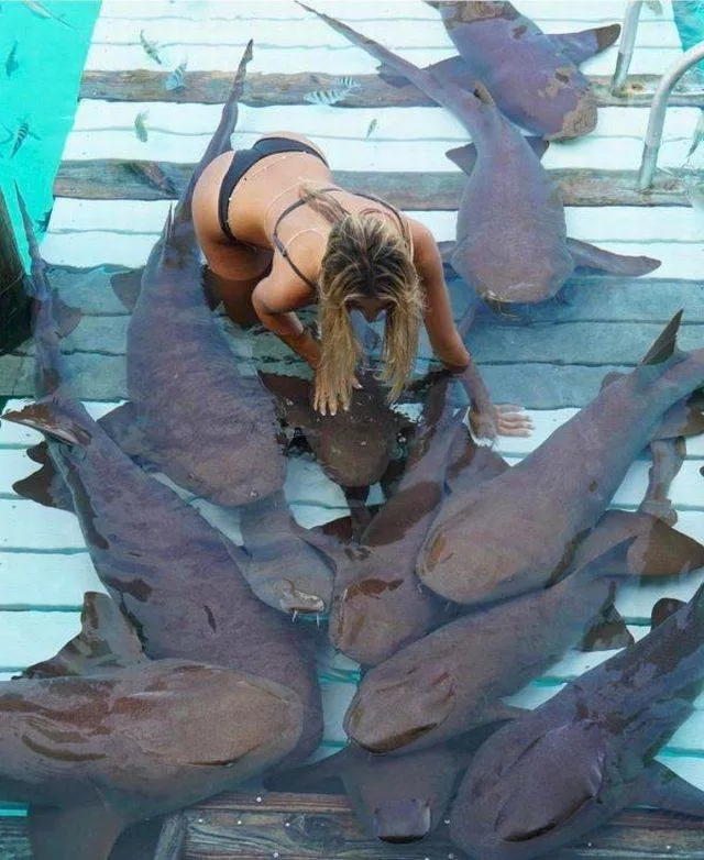 Picdump 388