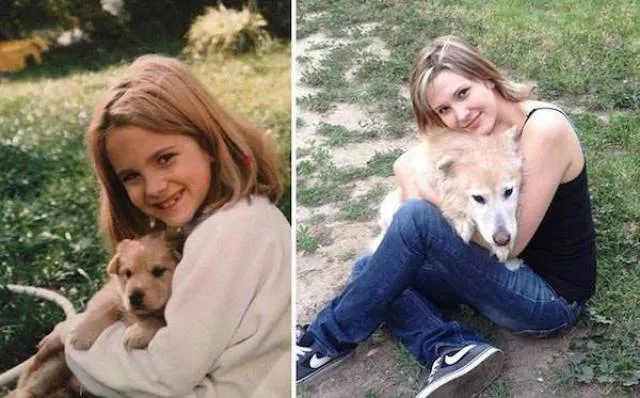 Adorable dogs transformation - #14 