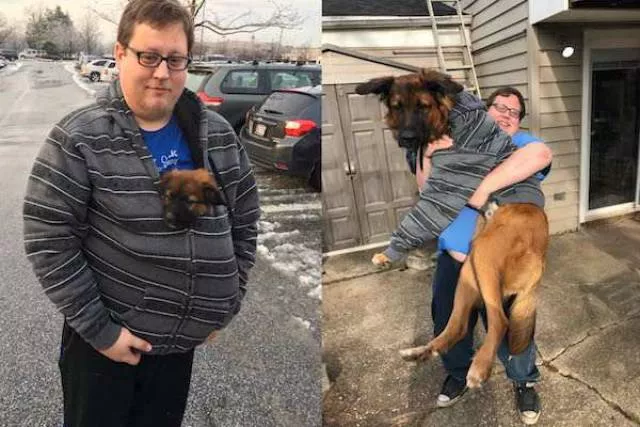 Adorable dogs transformation - #17 