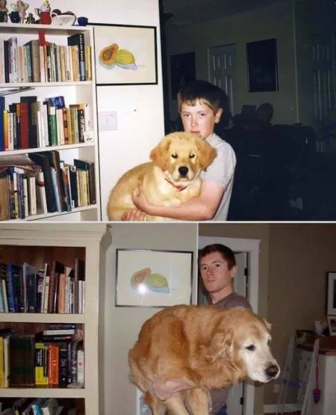 Transformation de chiens adorables - #6 