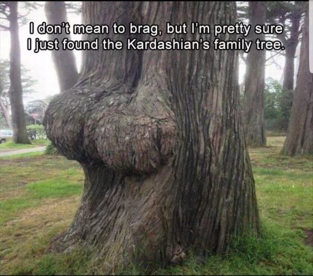 Picdump 389 - #2 