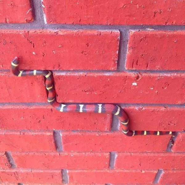 Picdump 390 - #31 
