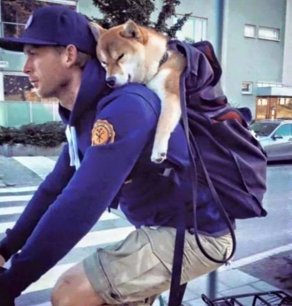 Picdump 2 - #19 