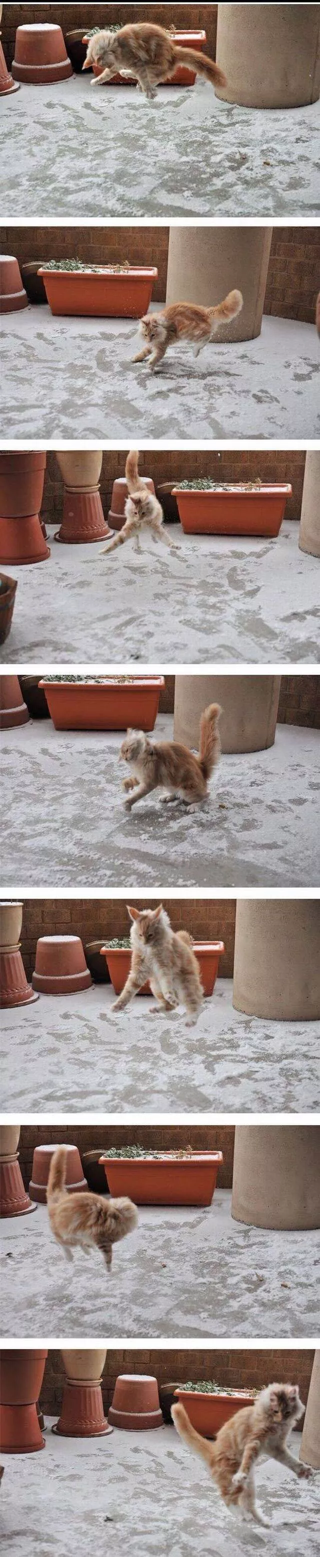 Picdump 2 - #22 