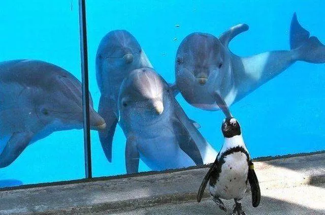 Picdump 2 - #24 