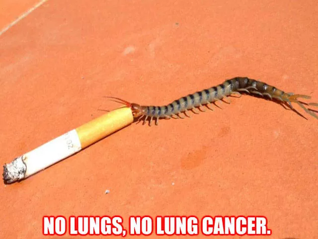 Picdump 2 - #49 