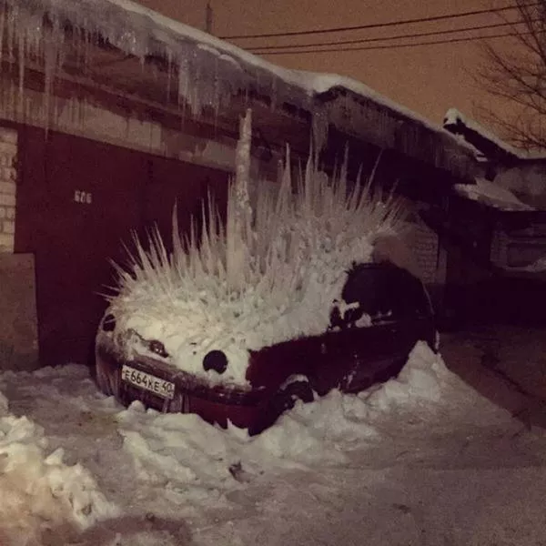 Picdump 2 - #59 