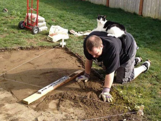 Picdump 2 - #64 