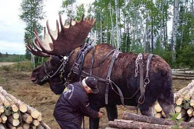 Picdump 2 - #72 