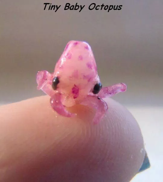 Picdump 2 - #8 