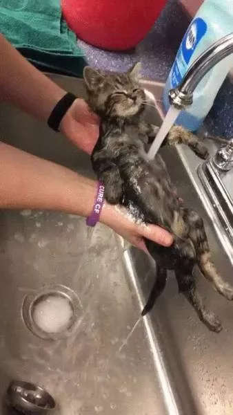 Picdump 2 - #9 