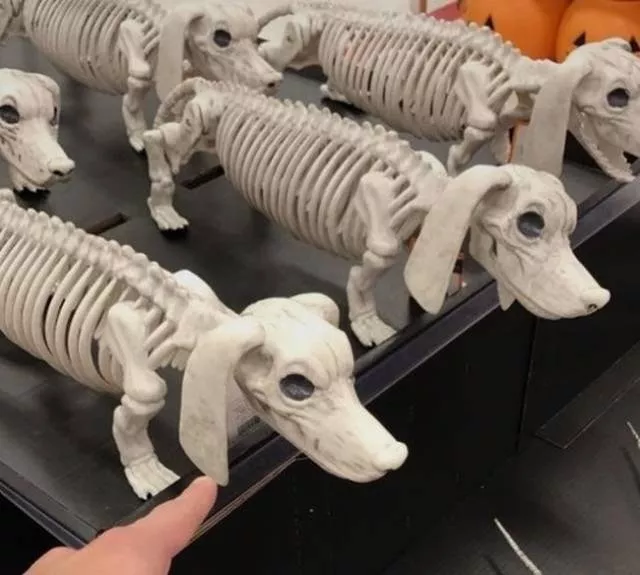 Things weirder than you think - #56 