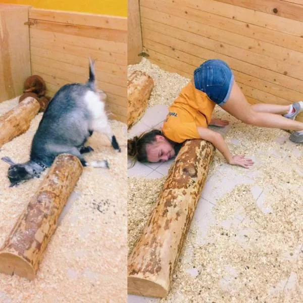 Picdump 391 - #35 