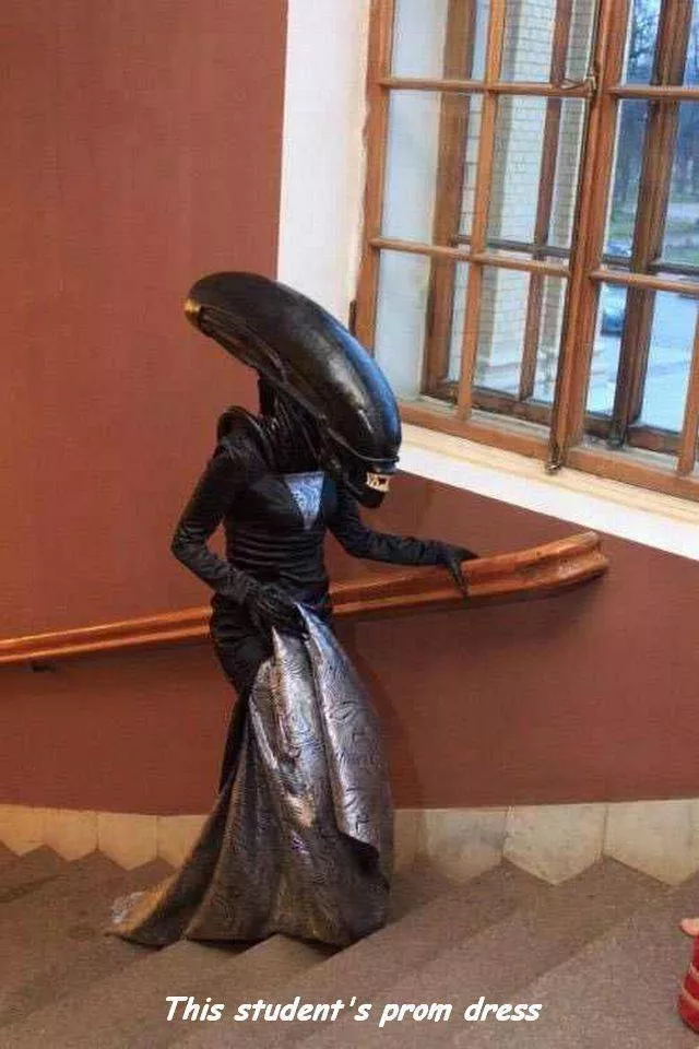 Picdump 391 - #6 