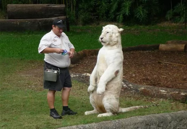 Picdump 391 - #67 