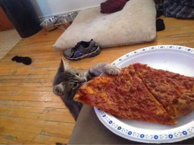 Picdump 391 - #72 