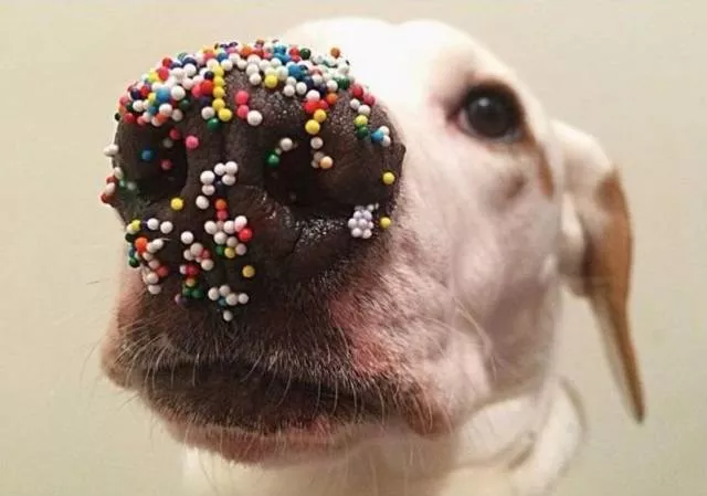 Picdump 391 - #81 