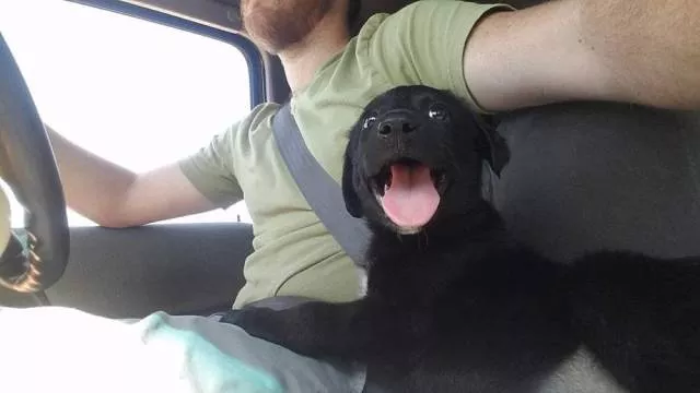 Picdump 391 - #9 