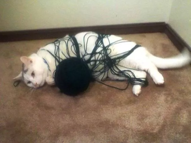 The worst situations experienced in pictures - #31 
