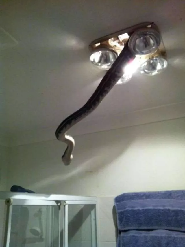 The worst situations experienced in pictures - #4 