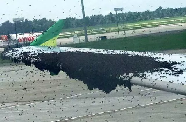 The worst situations experienced in pictures - #8 