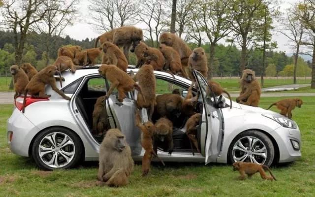 Les pires situations vecues en images - #9 