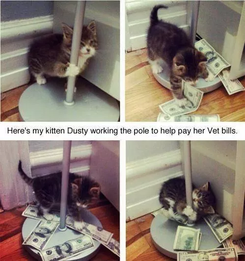Picdump 393 - #51 