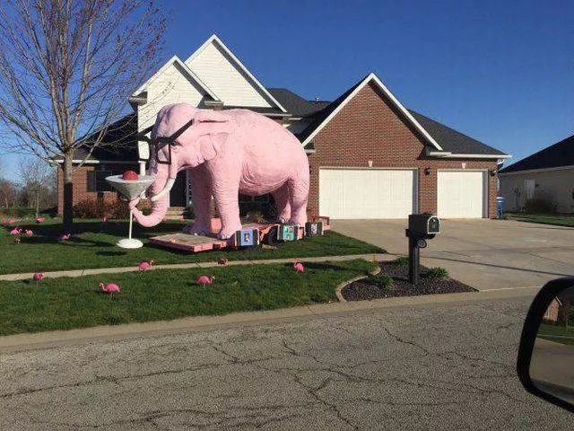 Picdump 72 - #12 