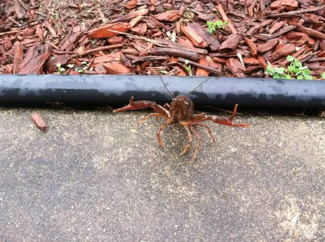 Picdump 72 - #22 