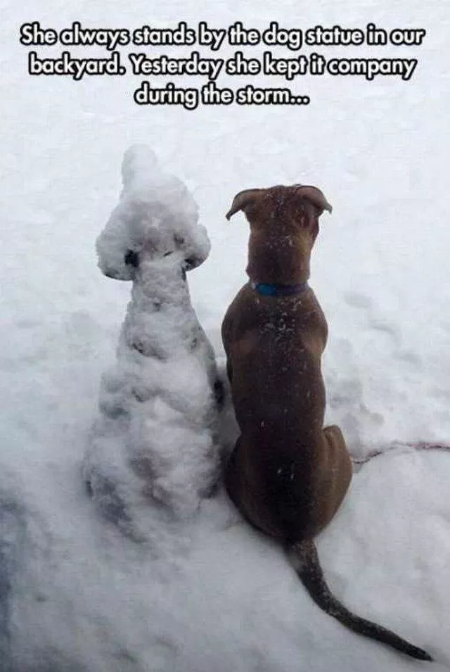 Picdump 72 - #62 