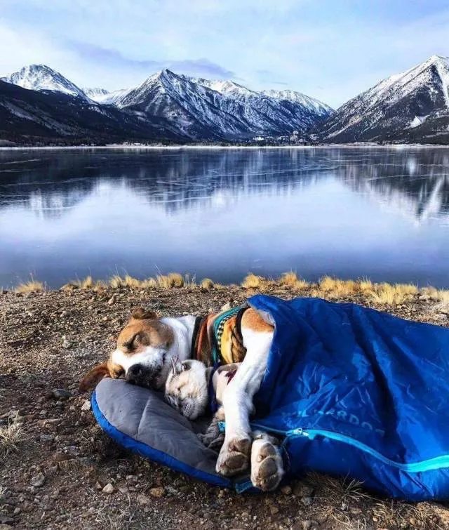 A perfect album to share with friends - #26 