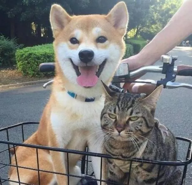 A perfect album to share with friends - #53 