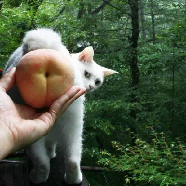 Picdump 394 - #24 